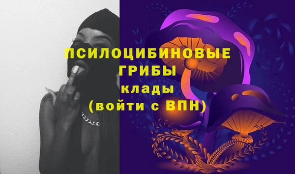 мяу мяу мука Михайловск