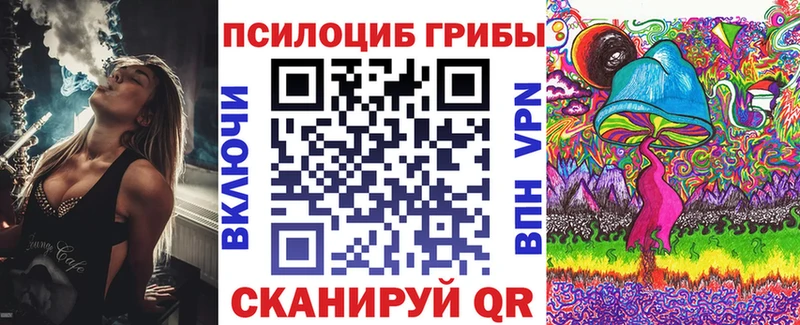 цена наркотик  Балаково  darknet какой сайт  Галлюциногенные грибы Psilocybe 