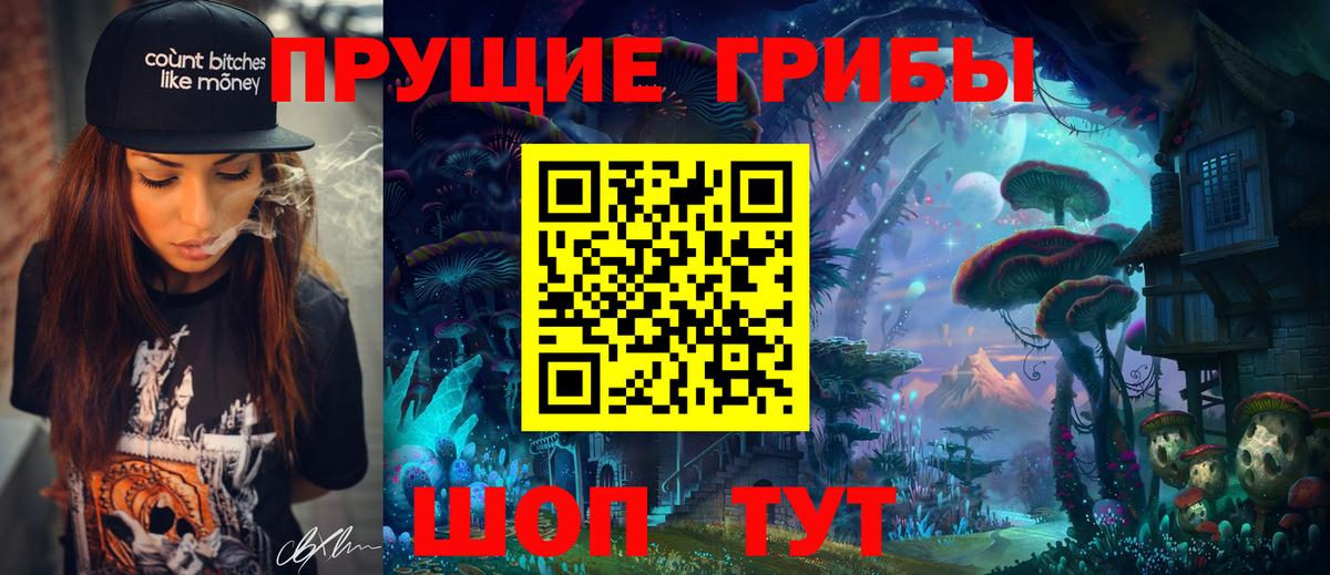 Галлюциногенные грибы Psilocybine cubensis Балаково