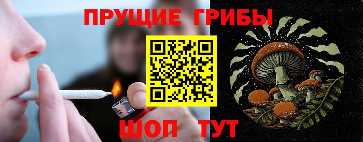 Псилоцибиновые грибы прущие грибы  Вход с VPN  Галлюциногенные грибы мицелий  Балаково 